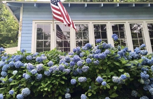 Union Pier Cottage | Lantern Cottage - Great Family Cottage Steps From Beautiful Beaches!