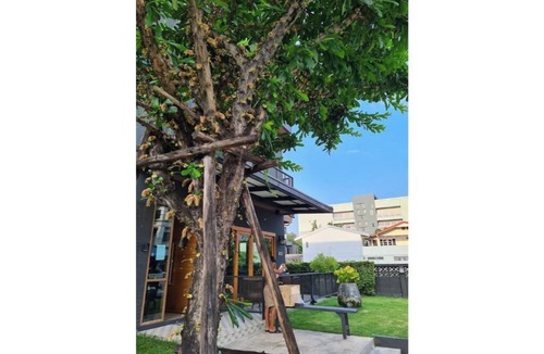 Thung Song Hong Apartment | Lantern Suites 31 Northpark with Maid Service
