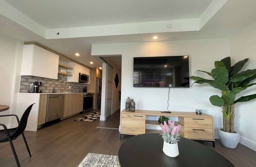 Downtown Halifax Apartment | Large 1 BR downtown with lots of sunlight
