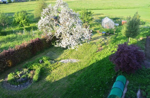 Battenberg Apartment | Large apartment in the Ederbergland "Beim Zämmermichel"