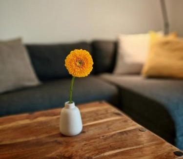 Velden am Worther See Apartment | Large apartment with terrace