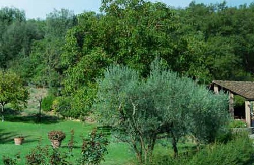 Pieve al Bagnoro House | large private pool, beautiful garden, Free Wifi