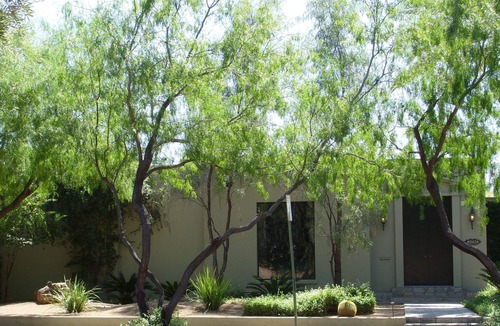 Blenman-Elm House | Large Studio Guesthouse in Central Tucson Historic Neighborhood