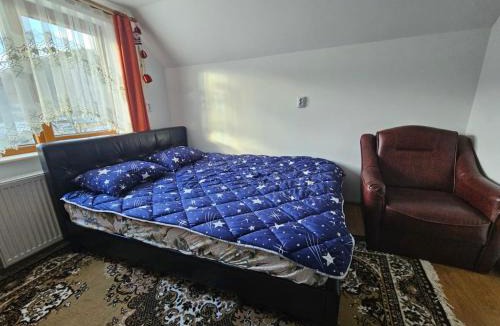 Partestii de Sus Villa | Larisa