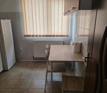 Barlad Apartment | Lary