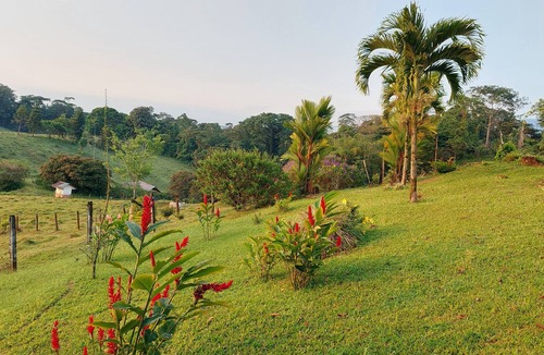 Guacimo Cabin | Las Cañas Paradise
