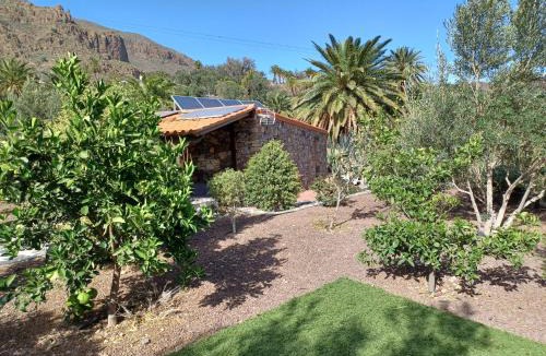 Aguimes House | Las Palmeras