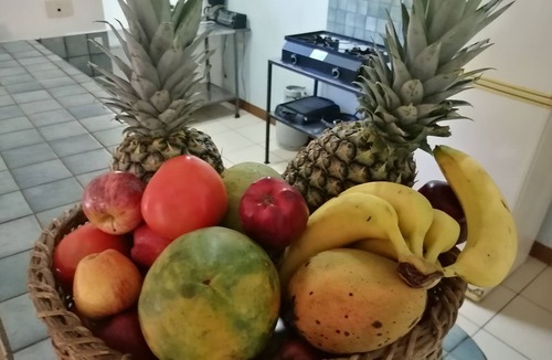 Coco House | Las Quintas Casas para Vacacionar