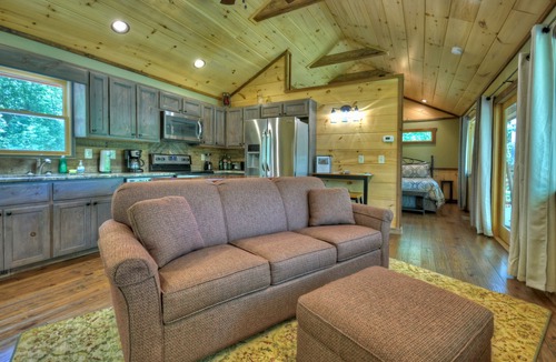 Mineral Bluff Cabin | Laurel Escape LLC- Romantic Luxury Cabin: Perfect for 2! PROMOTION 10%-15% OFF!