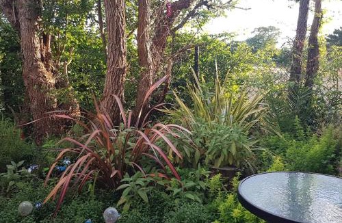 Birch Apartment | Lauriston Stay