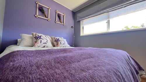 El Molle Bed & Breakfast | Lavanda del Valle