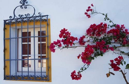 Estremoz Cottage | Lavender Cottage set in the Quinta de Evoramonte