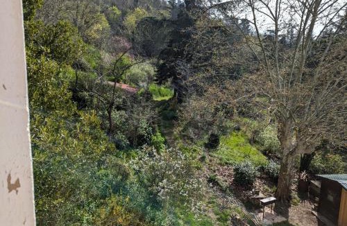 Saint-Vallier Apartment | LaVieLà!