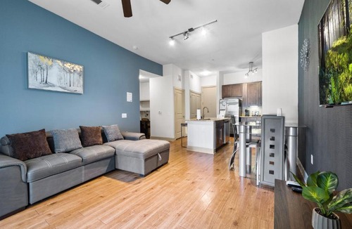 Astrodome Apartment | Lavish TX Tranquil Haven Luxe 1-Bedroom Escape near NRG & Med Center