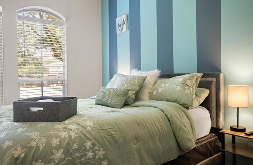 Astrodome Apartment | Lavish TX Tranquil Haven Luxe 1-Bedroom Escape near NRG & Med Center