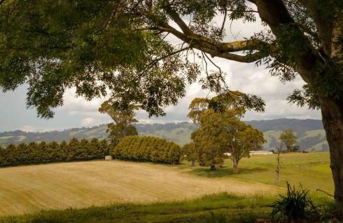 Warragul House | Lazy Daisy Farm by Tiny Away
