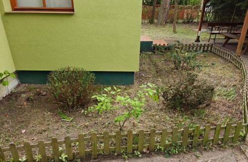 Miedzychod House | Leśna Ostoja w centrum Puszczy Nadnoteckiej otoczona 3 jeziorami