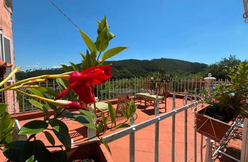 SantʼAndrea di Compito House | Le Balze