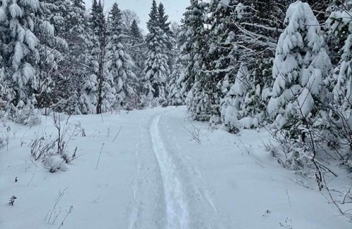St-Adolphe-d'Howard House | Le Belvédère - Retraite scandivane
