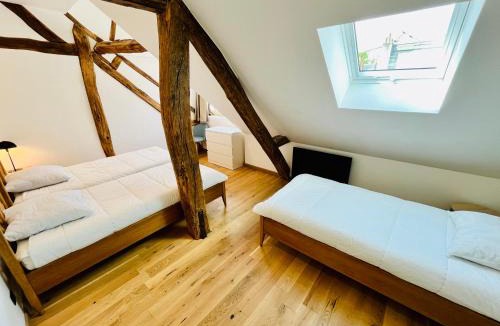 Tours Apartment | Le BIG duplex de Malo, hypercentre, 4 chambres, spacieux