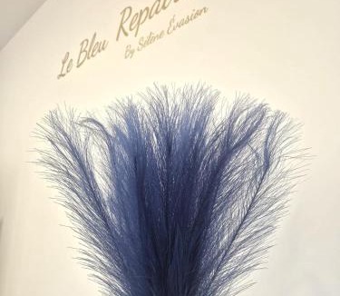 Beaurepaire Apartment | Le Bleu Repaire, by Sélène Evasion