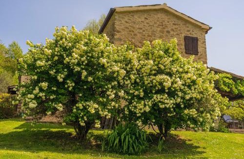 Tavoleto Bed & Breakfast | Le Bumbarelle