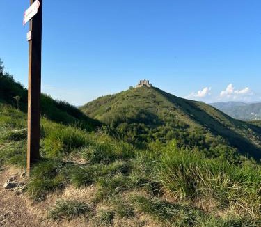 Molassana Bed & Breakfast | Le Cantine della Nelli