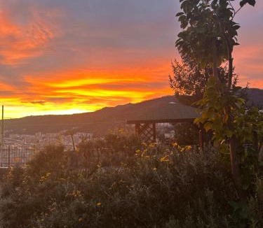 Molassana Bed & Breakfast | Le Cantine della Nelli