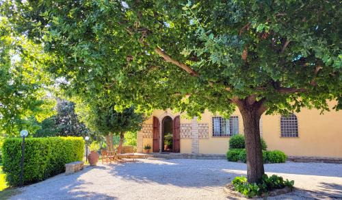 Tordibetto Villa | Le Case dell'Olmo