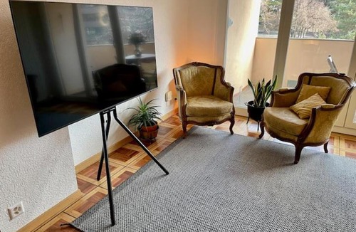 Sion Apartment | Le Castelview