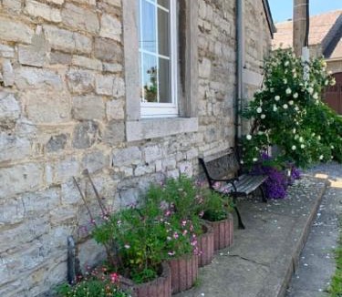 Wellin House | Le Cat'saisons