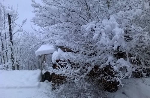 Saint-Amarin House | LE CELADON, spacious, bright and comfortable cottage classified 3 stars