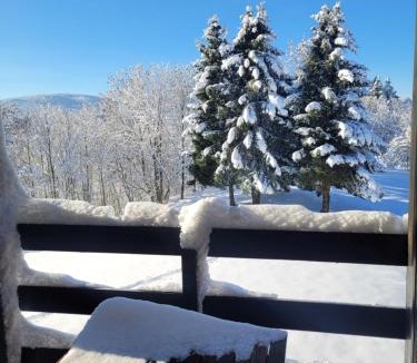 Les Rousses Apartment | LE CHALET, Superbe Duplex avec Balcon aux Rousses, Netflix, WI-FI, Parking Gratuit et Draps inclus - Animaux Interdits