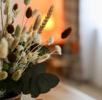 Thoury House | Le Clos André - Climatisation - Jardin - Chambord