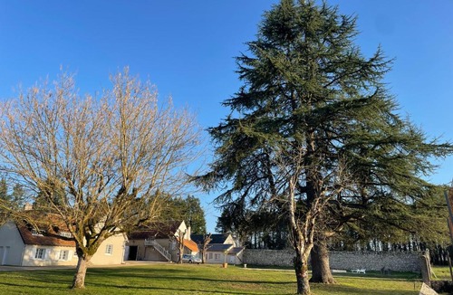 Cellettes Bed & Breakfast | Le clos du cèdre