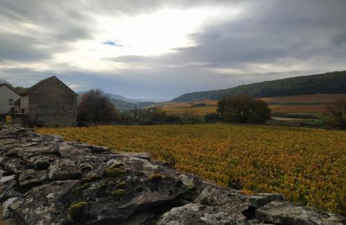 Rully House | Le Clos du Château