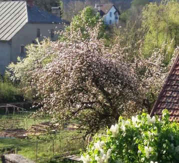 Brenod Bed & Breakfast | Le Clos Marie