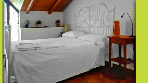 Old Town Hostel | Le Coccole