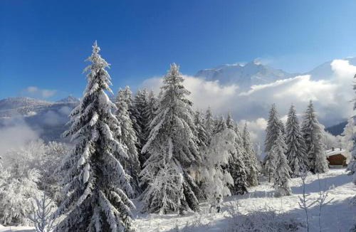 Le Bettex Apartment | Le cocon du Bettex 1400 - Cozy Apt near Mont Blanc