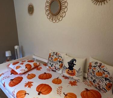 Marckolsheim Apartment | Le cocon de Marckolsheim proche Europapark