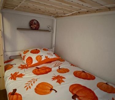 Marckolsheim Apartment | Le cocon de Marckolsheim proche Europapark