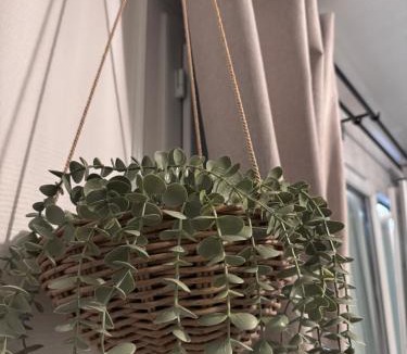 Le Perreux-sur-Marne Apartment | Le Cocon des Bords de Marne Paris Disney