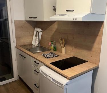 Tain-l'Hermitage Apartment | le Cocon des Vignes, cosy, climatisé, wifi, parking privé