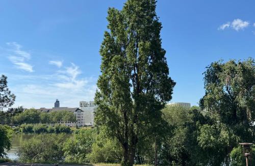 Ile de Nantes Palais des Congres Apartment | Le Cocon du Bord de Loire ! Appartement spacieux pour 6 personnes avec terrasse & parking