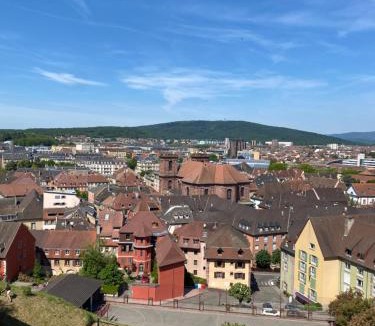 Belfort Apartment | Le Cocon du lion