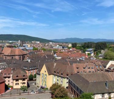 Belfort Apartment | Le Cocon du lion