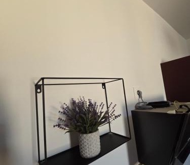 Bras Apartment | Le colibris