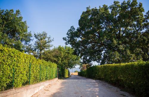 Cassino Bed & Breakfast | Le Colonne