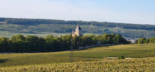 Dormans House | Le Coq de Champagne