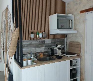 Saint-Andre-de-Cubzac Bed & Breakfast | Le Cosy Cabarieu